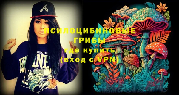прущие крисы Алзамай