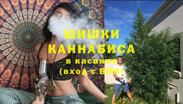прущие крисы Алзамай